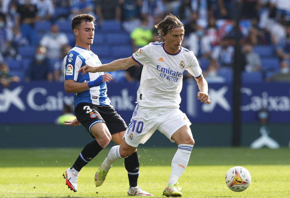 球队的阵容 球队的阵容